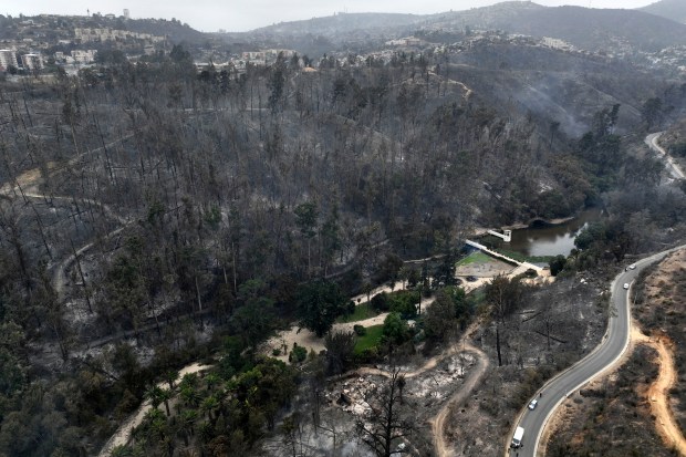 Aerial view of the Botanical Garden after a forest fire in Viña del Mar, Chile, taken on February 4, 2024. Chileans Sunday feared a rise in the death toll from wildfires blazing across the South American country that have already killed at least 51 people, leaving bodies in the street and homes gutted. (Photo by Javier TORRES / AFP) (Photo by JAVIER TORRES/AFP via Getty Images)