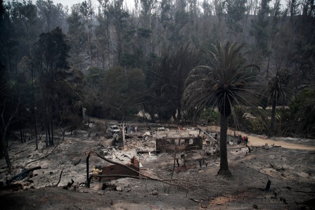 View of the Botanical Garden after a forest fire in Viña del Mar, Chile, taken on February 4, 2024. 