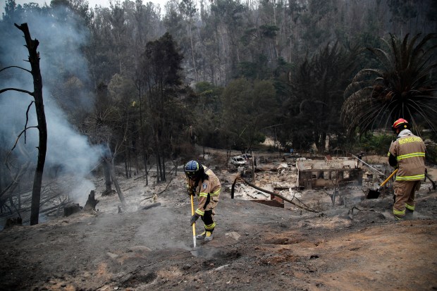 Firefighters work at the Botanical Garden after a forest fire in Viña del Mar, Chile, on February 4, 2024. Chileans Sunday feared a rise in the death toll from wildfires blazing across the South American country that have already killed at least 51 people, leaving bodies in the street and homes gutted. (Photo by Javier TORRES / AFP) (Photo by JAVIER TORRES/AFP via Getty Images)