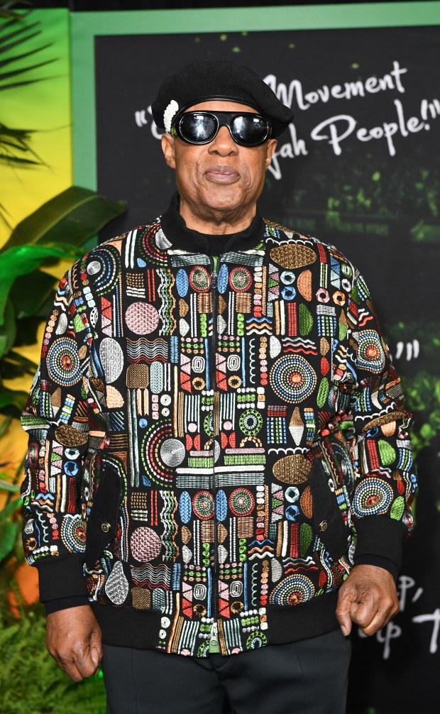 US singer-songwriter Stevie Wonder arrives for the premiere of "Bob Marley: One Love" at the Regency Village Theater in Los Angeles, California on February 6, 2024. (Photo by VALERIE MACON / AFP) (Photo by VALERIE MACON/AFP via Getty Images)