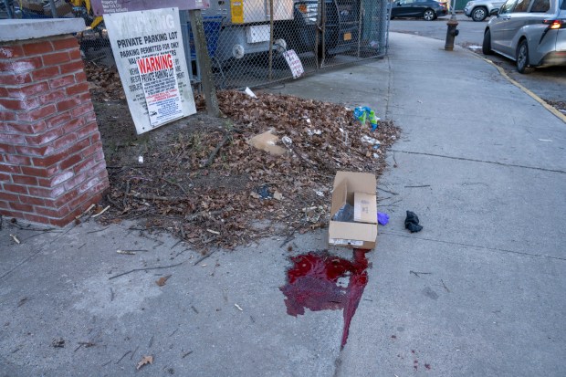 An unidentified adult male was rushed to New York Presbyterian Hospital Queens in critical condition after he was shot in the head at the NYCHA Pomonok Houses near 67-20 Parsons Boulevard in Queens on Monday Feb. 5, 2024. 0755. (Theodore Parisienne for New York Daily News)
